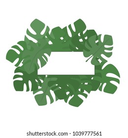 Palm leaf vector. The leaves of a banana tree. Tropical green leaves. The modern trend. Summer pattern. Place for text.