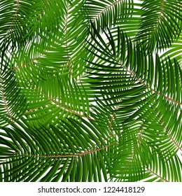 Palm Leaf Vector. Seamless pattern. Background Illustration EPS10