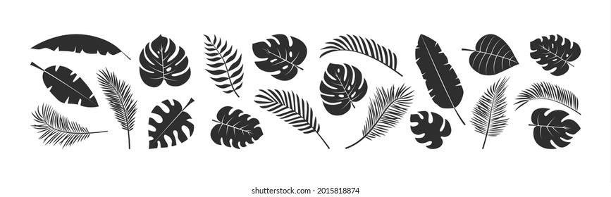 Palm leaf vector set, summer foliage, exotic jungle, black silhouettes isolated on white background. Tropic illustration