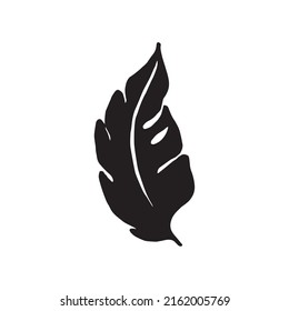 Palmblatt, Vektorsilhouette. Schwarz auf Weiß. Vektorgrafik