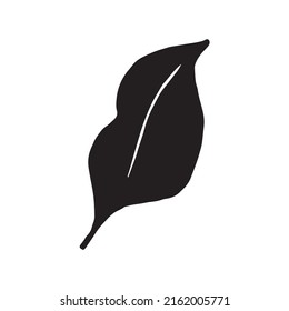 Silueta vectorial de hoja de palma. Negro sobre blanco. Ilustración del vector