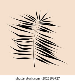 Vector de hojas de palma. Hojas tropicales. logotipo verde con líneas