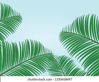 Palm leafs background. vector illustration