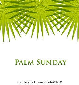 Palm leafs vector background. Vector illustration  for the Christian holiday Palm Sunday