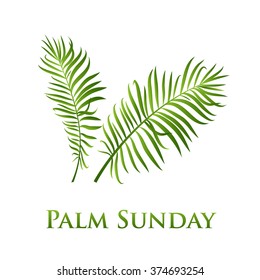 Palm leafs vector icon. Vector illustration  for the Christian holiday Palm Sunday