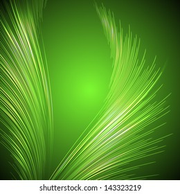 Palm leaves