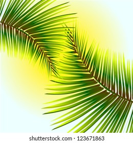 Palm leaves against the sunlight