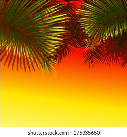 Palm leaves against the sunset. Vector