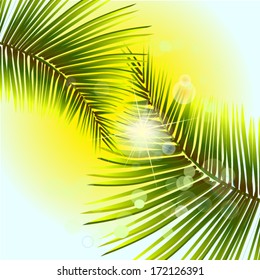 palm leaves amid sunlight. Vector 