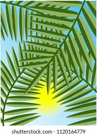 Palm leaves background