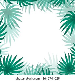 Palm leaves background. Tropical frame border. Green leaves of palm tree, copy space vector illustration.