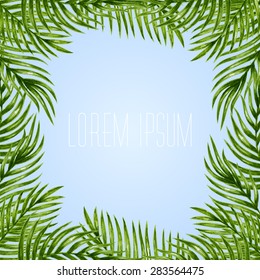 Palm leaves background. Tropical greeting card.