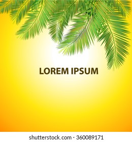 Palm leaves background. Vector