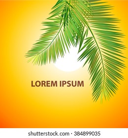 Palm leaves background. Vector