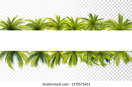 Palm Leaves Banner On Transparent Background. Vector Photo Realistic Illustration