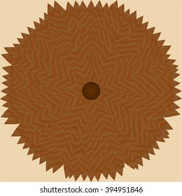 Palm leaves beach sunshade top view