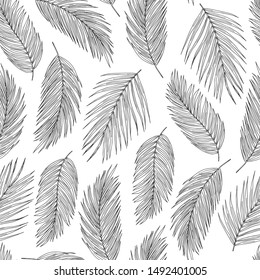Palm leaves black ink vector seamless pattern. Exotic tree foliage on white background. Tropical flora leafage textile print. Lightweight feathers, floating plumage fabric, wallpaper design