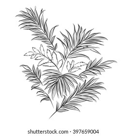 Palm leaves. Black outline on white background. Vector illustration