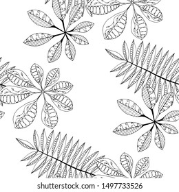 Palm Leaves. Black and White Pattern Seamless