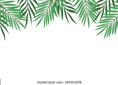 Palm leaves border. Background with exotic leaves for frames and greeting cards. Vector illustration on white background.