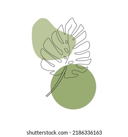 Palm leaves. Botanical style. Vector graphics