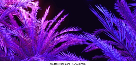 Palm leaves in a bright neon lights against black backdrop. Cyberpunk concept. Vibrant background with aesthetics of vaporwave style of 80's. Retro futuristic wallpaper. EPS 10.