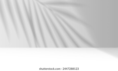Palmblätter werfen Schatten auf die Studiowand realistische Vektorillustration. Produkt Werbung Leerraum 3D Hintergrund Schwarz-Weiß