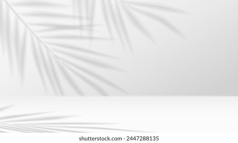 Palm leaves casting shadows on studio wall realistic vector illustration. Product advertising empty space 3d backdrop black and white