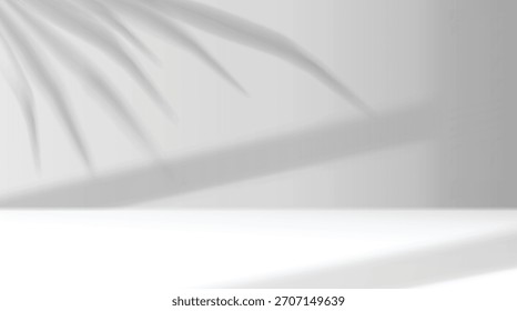 palmblätter werfen schatten studio wand vektor bild