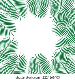 Palm leaves or coconut leaves (not full) surround a white frame. Green palm leaves and soft shadows. Copy space in the middle.