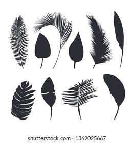 Palm leaves dark silhouettes isolated on white background. Tropical leaves silhouette collection.