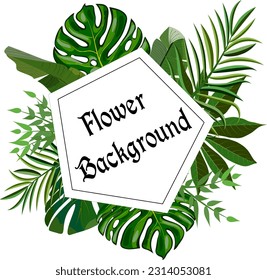 Palm leaves in the decor of the frame.Vector illustration with framed text and palm leaves on a transparent background.