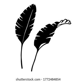 Palmenblätter als Gestaltungselemente. Schwarze Silhouette auf weißem Hintergrund. Handgezeichneter Farbstil. Tattoo-Inspiration. 