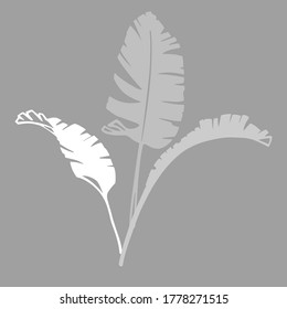 Palm leaves as a design elements. Grey and white silhouettes on grey background. Hand drawn ink style. Vector illustration. Isolated patterns. Tattoo inspiration