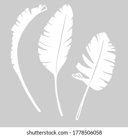 Palm leaves as a design elements.White silhouettes on grey background. Hand drawn ink style. Vector illustration. Isolated patterns. Tattoo inspiration