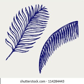 Palm leaves. Doodle style