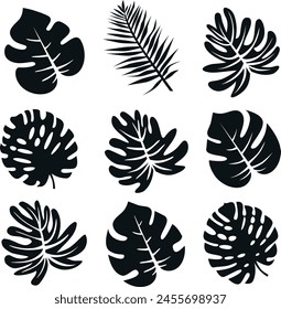 Palm leaves. Exotic black leaves. Silhouettes of various palm trees.