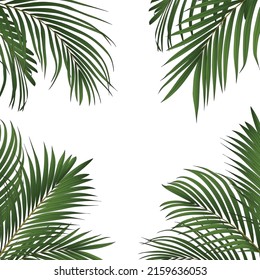 Palm Leaves Frame Border Design Stock Vector (Royalty Free) 2159636053 ...