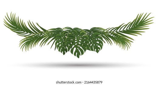 palm leaves frame, green nature leaf border, wedding invitation design with tropical style, vector illustration 
