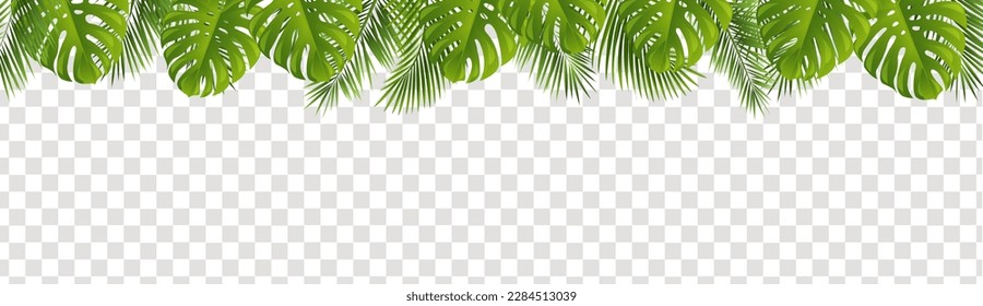 Palm Leaves Frame Isolated Transparent Background With Gradient Mesh, Vector Illustration