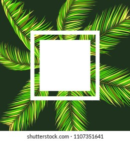 Palm Leaves Frame with Place For Text. Creative Tropical Foliage. Illustration of Jungle Plants. Realistic Vector Palm Leaves for Pattern, Wallpaper, Print, Fabric, Textile or Your Creative Design.