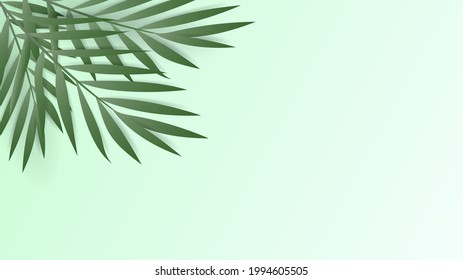 Marco de hojas de palma en sesión de verano, aislado en fondo verde, ilustración vectorial EPS 10