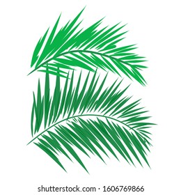 Palm Leaves Fresh Stock Images, Free-Royalti Vectors & Images