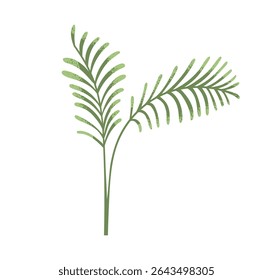 Folhas de palmeira, frondes. Folhagem tropical exótica, ramos de folhas verdes. Decoração de natureza fresca. Folha de selva. Elemento botânico decorativo. Ilustração de vetor plano isolada no plano de fundo branco