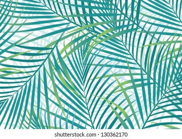 palm leaves green