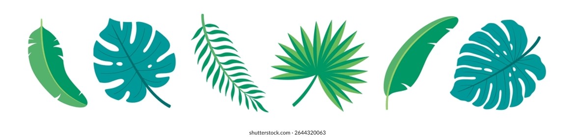 Palm leaves green tropical border. Monstera, banana leaf, and fan palm branch. Cute summer plant frame element isolated on white background. Flat design vector illustration.
