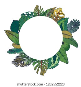 palm leaves, hand drawing background, vector