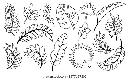 Palm leaves hand drawn crayon brush illustration. Chalk textured tropical jungle doodle shapes. Foliage tropical jungle leaves monstera, texture silhouette elements. Hand drawn grunge texture. Vector