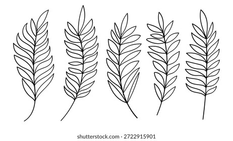 Palm Leaves Hand Drawn Line Art Collection Vintage Botanical Tropical Elements. Vector Set