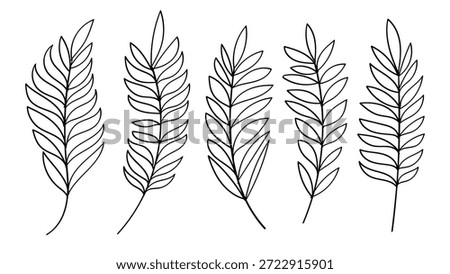 Palm Leaves Hand Drawn Line Art Collection Vintage Botanical Tropical Elements. Vector Set